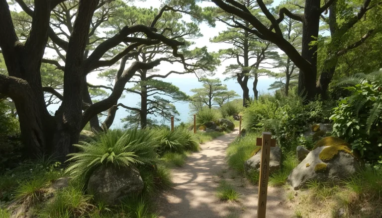 Randonnées à proximité de Penhoat-Lancerf : les meilleurs circuits entre forêt et littoral
