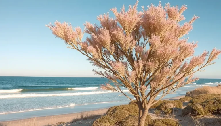 Tamaris en bord de mer : plantation, entretien et conseils pour un jardin côtier